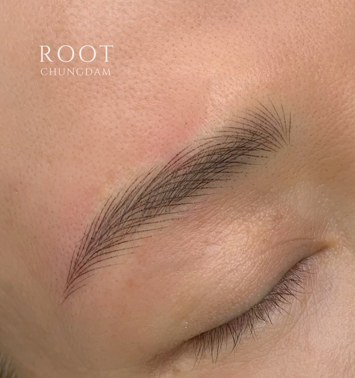 Individual hair strokes in a patient's brows by Root Chungdam