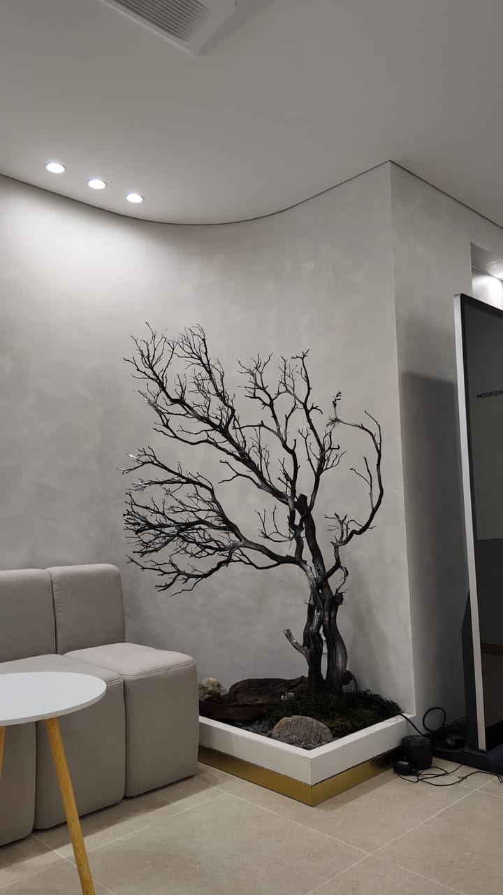Lounge Detail — Tune Clinic